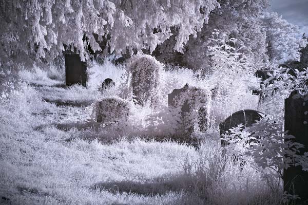008Llanigan Churchyard 02